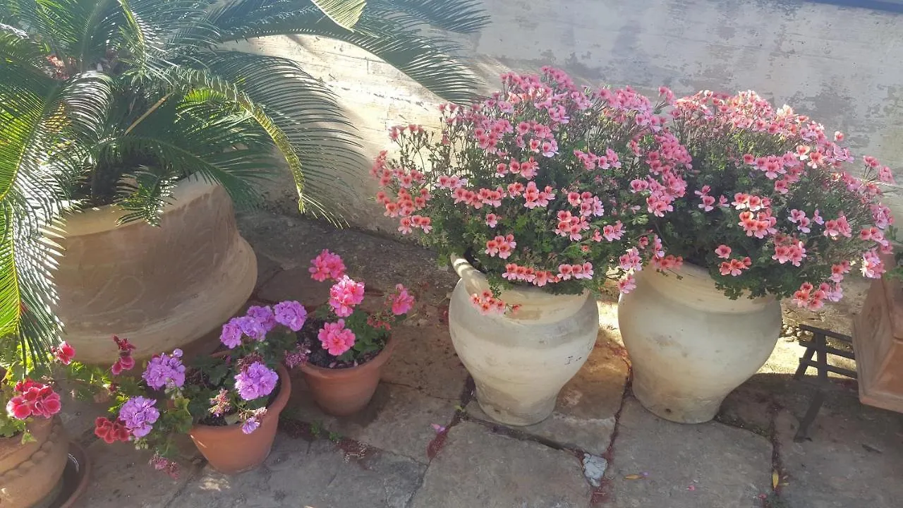 Appartamento Palermo Ridente